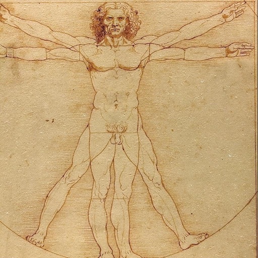 Reference image: The Vitruvian Man